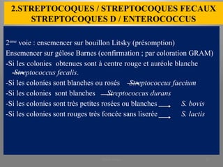 2.STREPTOCOQUES / STREPTOCOQUES FECAUX
STREPTOCOQUES D / ENTEROCOCCUS
2eme
voie : ensemencer sur bouillon Litsky (présomption)
Ensemencer sur gélose Barnes (confirmation ; par coloration GRAM)
-Si les colonies obtenues sont à centre rouge et auréole blanche
Streptococcus fecalis.
-Si les colonies sont blanches ou rosés Streptococcus faecium
-Si les colonies sont blanches Streptococcus durans
-Si les colonies sont très petites rosées ou blanches S. bovis
-Si les colonies sont rouges très foncée sans liserée S. lactis
KOUA Amian 28
 