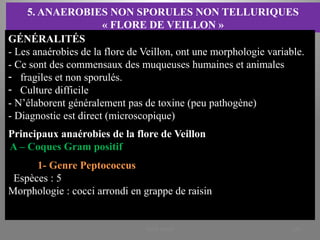 5. ANAEROBIES NON SPORULES NON TELLURIQUES
« FLORE DE VEILLON »
GÉNÉRALITÉS
- Les anaérobies de la flore de Veillon, ont une morphologie variable.
- Ce sont des commensaux des muqueuses humaines et animales
- fragiles et non sporulés.
- Culture difficile
- N’élaborent généralement pas de toxine (peu pathogène)
- Diagnostic est direct (microscopique)
Principaux anaérobies de la flore de Veillon
A – Coques Gram positif
1- Genre Peptococcus
Espèces : 5
Morphologie : cocci arrondi en grappe de raisin
KOUA Amian 284
 
