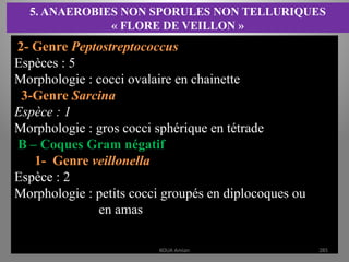 5. ANAEROBIES NON SPORULES NON TELLURIQUES
« FLORE DE VEILLON »
2- Genre Peptostreptococcus
Espèces : 5
Morphologie : cocci ovalaire en chainette
3-Genre Sarcina
Espèce : 1
Morphologie : gros cocci sphérique en tétrade
B – Coques Gram négatif
1- Genre veillonella
Espèce : 2
Morphologie : petits cocci groupés en diplocoques ou
en amas
KOUA Amian 285
 
