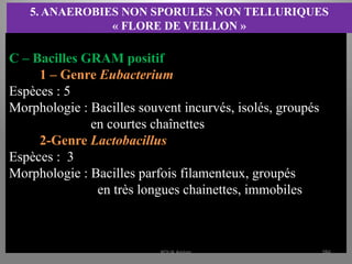 5. ANAEROBIES NON SPORULES NON TELLURIQUES
« FLORE DE VEILLON »
C – Bacilles GRAM positif
1 – Genre Eubacterium
Espèces : 5
Morphologie : Bacilles souvent incurvés, isolés, groupés
en courtes chaînettes
2-Genre Lactobacillus
Espèces : 3
Morphologie : Bacilles parfois filamenteux, groupés
en très longues chainettes, immobiles
KOUA Amian 286
 