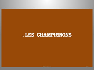 . LES CHAMPIGNONS
KOUA Amian 291
 