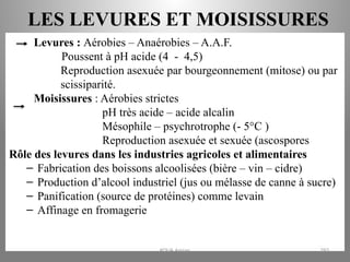 LES LEVURES ET MOISISSURES
Levures : Aérobies – Anaérobies – A.A.F.
Poussent à pH acide (4 - 4,5)
Reproduction asexuée par bourgeonnement (mitose) ou par
scissiparité.
Moisissures : Aérobies strictes
pH très acide – acide alcalin
Mésophile – psychrotrophe (- 5°C )
Reproduction asexuée et sexuée (ascospores
Rôle des levures dans les industries agricoles et alimentaires
– Fabrication des boissons alcoolisées (bière – vin – cidre)
– Production d’alcool industriel (jus ou mélasse de canne à sucre)
– Panification (source de protéines) comme levain
– Affinage en fromagerie
KOUA Amian 293
 