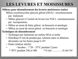LES LEVURES ET MOISISSURES
Milieux pour dénombrement des levures moisissures (suite)
Milieu oxytétracycline glucosé gélosé (OGA) : ensemencement
par étalement
– Milieu glucosé à l’extrait de levure (ou YGC) : ensemencement
par incorporation.
– Milieu au mout de bière gélosé en brasserie et œnologie.
– Milieu au mout de raisin gélosé en brasserie et œnologie
Techniques de dénombrement
– Technique par étalement sur milieu OGA et séché
– Distribuer 0.1ml de produit pur, solution mère et dilutions
décimales sur les boites jusqu’à 10-n
– Etaler (étaleur stérile)
– - Incuber : * 20 – 35°C pendant 5 jours
* 30°C pendant 24h et 48h * 0.1ml …………0.1ml 10-n
KOUA Amian 297
 