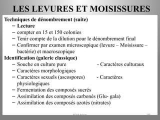 LES LEVURES ET MOISISSURES
Techniques de dénombrement (suite)
– Lecture
– compter en 15 et 150 colonies
– Tenir compte de la dilution pour le dénombrement final
– Confirmer par examen microscopique (levure – Moisissure –
bactérie) et macroscopique
Identification (galerie classique)
– Souche en culture pure - Caractères culturaux
– Caractères morphologiques
– Caractères sexuels (ascospores) - Caractères
physiologiques
– Fermentation des composés sucrés
– Assimilation des composés carbonés (Glu- gala)
– Assimilation des composés azotés (nitrates)
KOUA Amian 298
 