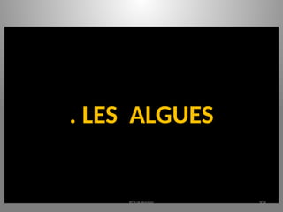 . LES ALGUES
KOUA Amian 304
 