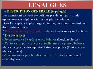 LES ALGUES
I – DESCRIPTION GÉNÉRALE (typologie)
Les algues ont souvent été définies par défaut, par simple
opposition aux végétaux terrestres pluricellulaires.
Dans l’acception la plus large du terme, les algues rassemblent
donc entre autres à :
* Des organismes procaryotes : algues bleues ou cyanobactérie
* Des eucaryotes
-Divers groupes à espèces unicellulaires (Euglonophytes)
-D’autres groupes à espèces unicellulaires ou pluricellulaires
algues rouges ou ahodophyto et straménophiles (Diatomées –
algues brunes)
-Végétaux assez proches des plantes terrestres algues vertes
(ulvophycées)
KOUA Amian 306
 