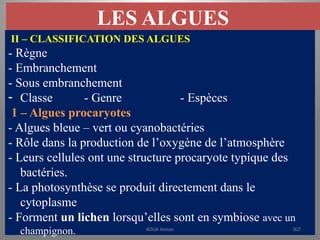 LES ALGUES
II – CLASSIFICATION DES ALGUES
- Règne
- Embranchement
- Sous embranchement
- Classe - Genre - Espèces
1 – Algues procaryotes
- Algues bleue – vert ou cyanobactéries
- Rôle dans la production de l’oxygène de l’atmosphère
- Leurs cellules ont une structure procaryote typique des
bactéries.
- La photosynthèse se produit directement dans le
cytoplasme
- Forment un lichen lorsqu’elles sont en symbiose avec un
champignon. KOUA Amian 307
 