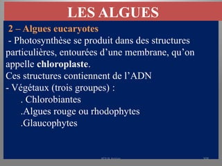 LES ALGUES
2 – Algues eucaryotes
- Photosynthèse se produit dans des structures
particulières, entourées d’une membrane, qu’on
appelle chloroplaste.
Ces structures contiennent de l’ADN
- Végétaux (trois groupes) :
. Chlorobiantes
.Algues rouge ou rhodophytes
.Glaucophytes
KOUA Amian 308
 