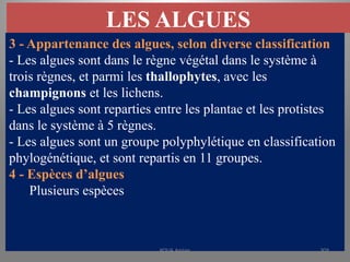 LES ALGUES
3 - Appartenance des algues, selon diverse classification
- Les algues sont dans le règne végétal dans le système à
trois règnes, et parmi les thallophytes, avec les
champignons et les lichens.
- Les algues sont reparties entre les plantae et les protistes
dans le système à 5 règnes.
- Les algues sont un groupe polyphylétique en classification
phylogénétique, et sont repartis en 11 groupes.
4 - Espèces d’algues
Plusieurs espèces
KOUA Amian 309
 