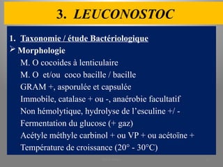 3. LEUCONOSTOC
1. Taxonomie / étude Bactériologique
 Morphologie
M. O cocoides à lenticulaire
M. O et/ou coco bacille / bacille
GRAM +, asporulée et capsulée
Immobile, catalase + ou -, anaérobie facultatif
Non hémolytique, hydrolyse de l’esculine +/ -
Fermentation du glucose (+ gaz)
Acétyle méthyle carbinol + ou VP + ou acétoïne +
Température de croissance (20° - 30°C)
KOUA Amian 31
 