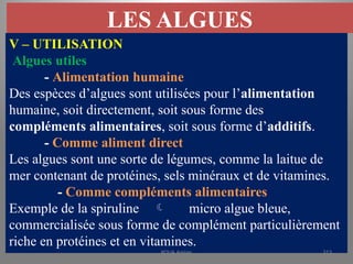 LES ALGUES
V – UTILISATION
Algues utiles
- Alimentation humaine
Des espèces d’algues sont utilisées pour l’alimentation
humaine, soit directement, soit sous forme des
compléments alimentaires, soit sous forme d’additifs.
- Comme aliment direct
Les algues sont une sorte de légumes, comme la laitue de
mer contenant de protéines, sels minéraux et de vitamines.
- Comme compléments alimentaires
Exemple de la spiruline  micro algue bleue,
commercialisée sous forme de complément particulièrement
riche en protéines et en vitamines.
KOUA Amian 313
 