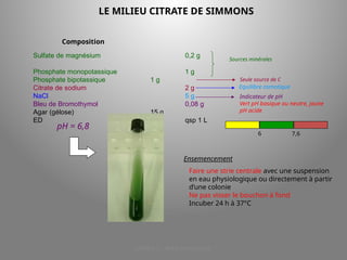 LICENCE 3 KOUA Amian/SILUE
LE MILIEU CITRATE DE SIMMONS
Sulfate de magnésium 0,2 g
Phosphate monopotassique 1 g
Phosphate bipotassique 1 g
Citrate de sodium 2 g
NaCl 5 g
Bleu de Bromothymol 0,08 g
Agar (gélose) 15 g
ED qsp 1 L
Composition
Equilibre osmotique
Indicateur de pH
Vert pH basique ou neutre, jaune
pH acide
pH = 6,8
Sources minérales
Seule source de C
6 7,6
Ensemencement
Faire une strie centrale avec une suspension
en eau physiologique ou directement à partir
d’une colonie
Ne pas visser le bouchon à fond
Incuber 24 h à 37°C
 