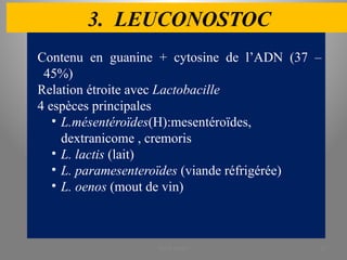 3. LEUCONOSTOC
Contenu en guanine + cytosine de l’ADN (37 –
45%)
Relation étroite avec Lactobacille
4 espèces principales
• L.mésentéroïdes(H):mesentéroïdes,
dextranicome , cremoris
• L. lactis (lait)
• L. paramesenteroïdes (viande réfrigérée)
• L. oenos (mout de vin)
KOUA Amian 32
 