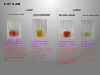 LICENCE 3 KOUA Amian/SILUE
CLARK ET LUBS
1ère lecture possible
Le milieu est devenu
rouge  le pH est acide .
Il y a eu formation de
composés acides par les
bactéries au cours de la
fermentation du glucose.
Les bactéries utilisent la
voie des acides mixtes :
RM +.
2nde lecture possible
1- Test RM
Le milieu est devenu
jaune  le pH est
basique .
Les bactéries n’utilisent
pas la voie des acides
mixtes lors de la
fermentation du
glucose : RM -.
2- Test VP
1ère lecture possible 2nde lecture possible
Formation d’une
coloration rouge en
surface . Il y a
formation d’acétoïne
et de butanediol dans
le milieu lors de la
fermentation du
glucose. Les bactéries
utilisent la voie du
butanediol : VP +.
Pas de
modification du
milieu .
Les bactéries
n’utilisent pas la
voie du butanediol
lors de la
fermentation du
glucose : VP -.
 