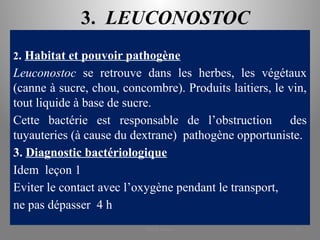 3. LEUCONOSTOC
2. Habitat et pouvoir pathogène
Leuconostoc se retrouve dans les herbes, les végétaux
(canne à sucre, chou, concombre). Produits laitiers, le vin,
tout liquide à base de sucre.
Cette bactérie est responsable de l’obstruction des
tuyauteries (à cause du dextrane) pathogène opportuniste.
3. Diagnostic bactériologique
Idem leçon 1
Eviter le contact avec l’oxygène pendant le transport,
ne pas dépasser 4 h
KOUA Amian 33
 