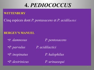 4. PEDIOCOCCUS
WITTENBURY
Cinq espèces dont P. pentasacens et P. acidilactici
BERGEY’S MANUEL
•P. damnosus P. pentosacens
•P. parvulus P. acidilactici
•P. inopinatus P. halophilus
•P. dextrinicus P. urinaeequi
KOUA Amian 35
 