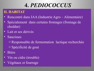 4. PEDIOCOCCUS
II. HABITAT
• Rencontré dans IAA (Industrie Agro – Alimentaire)
• Spécialement dans certains fromages (fromage de
cheddar)
• Lait et ses dérivés
• Saucisses
o Responsable de fermentation lactique recherchée
o Spécificité de gout
• Bière
• Vin ou cidre (trouble)
• Végétaux et fourrage
KOUA Amian 36
 