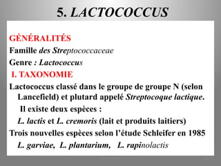 5. LACTOCOCCUS
GÉNÉRALITÉS
Famille des Streptococcaceae
Genre : Lactococcus
I. TAXONOMIE
Lactococcus classé dans le groupe de groupe N (selon
Lancefield) et plutard appelé Streptocoque lactique.
Il existe deux espèces :
L. lactis et L. cremoris (lait et produits laitiers)
Trois nouvelles espèces selon l’étude Schleifer en 1985
L. garviae, L. plantarium, L. rapinolactis
KOUA Amian 38
 