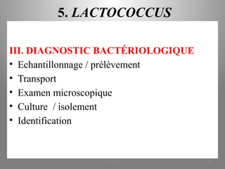 5. LACTOCOCCUS
III. DIAGNOSTIC BACTÉRIOLOGIQUE
• Echantillonnage / prélèvement
• Transport
• Examen microscopique
• Culture / isolement
• Identification
KOUA Amian 40
 