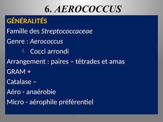 6. AEROCOCCUS
GÉNÉRALITÉS
Famille des Streptococcaceae
Genre : Aerococcus
 Cocci arrondi
Arrangement : paires – tétrades et amas
GRAM +
Catalase –
Aéro - anaérobie
Micro - aérophile préférentiel
KOUA Amian 41
 
