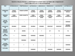 TESTS UTILES POUR LA DIFFERENCIATION DES GENRES DE COQUES ET
COCCOBACILLES A GRAM POSITIF.
TEST ENTEROCOCCUS STREPTOCOCCUS LACTOCOCCUS AEROCOCCUS PEDIOCOCCUS LEUCONOSTOC LACTOBACILLUS
MORPHOLO
GIE
COQUE
ALLONGE
COQUE ALLONGE COQUE
ALLONGE
COQUE
ARRONDI
COQUE
ARRONDI
COQUE
ALLONGE
COCCOBACILLE
BACILLE
ARRANGE
MENT
PAIRE
CHAINETTE
PAIRE CHAINETTE PAIRE
CHAINETTE
PAIRE
TETRADES,
AMAS
PAIRE
TETRADES,
AMAS
PAIRE
CHAINETTE
PAIRE
CHAINETTE
GAZ EN
BOULLON
MRS
- - - - - + VARIABLE
VANCOMYCI
NE
SENSIBLE SENSIBLE SENSIBLE SENSIBLE RESISTANT RESISTANT
SENSIBLE
RESISTANT
GROUPE
STREPTO
COCCIQUE
D DIVERS N ? D ? ? D ?D
BILE
ESCULINE + VARIABLE VARIABLE VARIABLE + + VARIABLE
PYRROLIDO
NYL + VARIABLE VARIABLE + - - -
LEUCINE
AMINOPEPTI
DASE
+ + + - + - VARIABLE
6,5% NACL
+ - VARIABLE + VARIABLE VARIABLE VARIABLE
KOUA Amian 45
 
