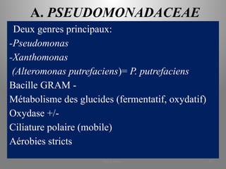 A. PSEUDOMONADACEAE
Deux genres principaux:
-Pseudomonas
-Xanthomonas
(Alteromonas putrefaciens)= P. putrefaciens
Bacille GRAM -
Métabolisme des glucides (fermentatif, oxydatif)
Oxydase +/-
Ciliature polaire (mobile)
Aérobies stricts
KOUA Amian 47
 