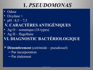 1. PSEUDOMONAS
• Odeur
• Oxydase +
• pH : 8,5 – 7,5
V. CARACTÈRES ANTIGÉNIQUES
• Ag O – somatique (16 types)
• Ag H – flagellaire
VI. DIAGNOSTIC BACTÉRIOLOGIQUE
 Dénombrement (cetrimide – pseudossel)
– Par incorporation
– Par étalement
KOUA Amian 51
 
