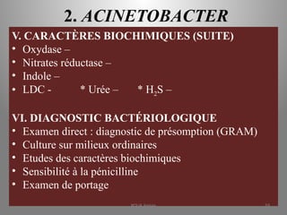 2. ACINETOBACTER
V. CARACTÈRES BIOCHIMIQUES (SUITE)
• Oxydase –
• Nitrates réductase –
• Indole –
• LDC - * Urée – * H2S –
VI. DIAGNOSTIC BACTÉRIOLOGIQUE
• Examen direct : diagnostic de présomption (GRAM)
• Culture sur milieux ordinaires
• Etudes des caractères biochimiques
• Sensibilité à la pénicilline
• Examen de portage
KOUA Amian 59
 