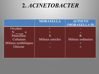 2. ACINETOBACTER
MORAXELLA ACINETO
(MORAXELLA II)
Oxydase
N n
Pénicilline
Culturaux
Milieux synthétiques
Glucose
+
+
S
Milieux enrichis
-
-
-
-
R
Milieux ordinaires
+
±
KOUA Amian 60
 