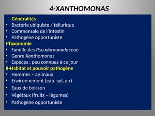 4-XANTHOMONAS
Généralités
• Bactérie ubiquiste / tellurique
• Commensale de l’intestin
• Pathogène opportuniste
I-Taxonomie
• Famille des Pseudomonadaceae
• Genre Xanthomonas
• Espèces : peu connues à ce jour
II-Habitat et pouvoir pathogène
• Hommes – animaux
• Environnement (eau, sol, air)
• Eaux de boisson
• Végétaux (fruits – légumes)
• Pathogène opportuniste
KOUA Amian 64
 