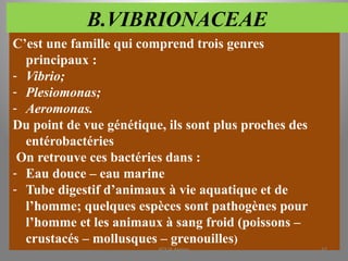 B.VIBRIONACEAE
C’est une famille qui comprend trois genres
principaux :
- Vibrio;
- Plesiomonas;
- Aeromonas.
Du point de vue génétique, ils sont plus proches des
entérobactéries
On retrouve ces bactéries dans :
- Eau douce – eau marine
- Tube digestif d’animaux à vie aquatique et de
l’homme; quelques espèces sont pathogènes pour
l’homme et les animaux à sang froid (poissons –
crustacés – mollusques – grenouilles)
KOUA Amian 67
 