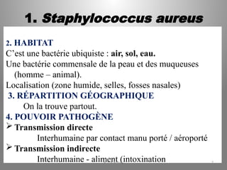 1. Staphylococcus aureus
2. HABITAT
C’est une bactérie ubiquiste : air, sol, eau.
Une bactérie commensale de la peau et des muqueuses
(homme – animal).
Localisation (zone humide, selles, fosses nasales).
3. RÉPARTITION GÉOGRAPHIQUE
On la trouve partout.
4. POUVOIR PATHOGÈNE
 Transmission directe
Interhumaine par contact manu porté / aéroporté
 Transmission indirecte
Interhumaine - aliment (intoxination
KOUA Amian 7
 