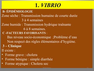 1. VIBRIO
B- ÉPIDÉMIOLOGIE
Zone sèche : Transmission humaine de courte durée
3 à 4 semaines
Zone humide : Transmission hydrique traînante
6 à 8 semaines.
C -FACTEURS FAVORISANTS :
Bas niveau socio-économique ;Problème d’eau
Non respect des règles élémentaires d’hygiène.
3 – Clinique
Il existe :
• Forme grave : cholera
• Forme bénigne : simple diarrhée
• Forme atypique : Cholera sec
KOUA Amian 71
 