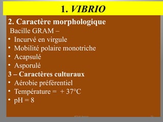 1. VIBRIO
2. Caractère morphologique
Bacille GRAM –
• Incurvé en virgule
• Mobilité polaire monotriche
• Acapsulé
• Asporulé
3 – Caractères culturaux
• Aérobie préférentiel
• Température = + 37°C
• pH = 8
KOUA Amian 75
 