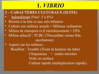 1. VIBRIO
3 – CARACTÈRES CULTURAUX (SUITE)
• halotolérant (Nacl 5 à 8%)
• Résiste à la bile et aux sels biliaires
• Culture sur milieux usuels = Milieux ordinaires
• Milieu de transport et d’enrichissement = EPA
• Milieu sélectif : TCBC (Thiosulfate citrate bile
saccharose)
• Aspect sur les milieux :
Bouillon : Trouble (Toute la hauteur du tube)
Chiquenose  ondes moirées
Voile en surface
Culture rapide (multiplication rapide)
KOUA Amian 76
 