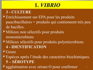 1. VIBRIO
3 - CULTURE
Enrichissement sur EPA pour les produits
paucibacillaires = produits qui contiennent très peu
de bacilles.
Milieux non sélectifs pour produits
monomicrobiens
Milieux sélectifs pour produits polymicrobiens
4 - IDENTIFICATION
Genre
Espèces après l’étude des caractères biochimiques.
5 – SÉROTYPE
agglutination avec sérum O pour confirmer
KOUA Amian 80
 