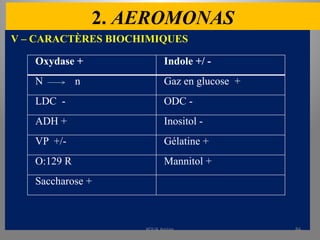 2. AEROMONAS
V – CARACTÈRES BIOCHIMIQUES
Oxydase + Indole +/ -
N n Gaz en glucose +
LDC - ODC -
ADH + Inositol -
VP +/- Gélatine +
O:129 R Mannitol +
Saccharose +
KOUA Amian 84
 