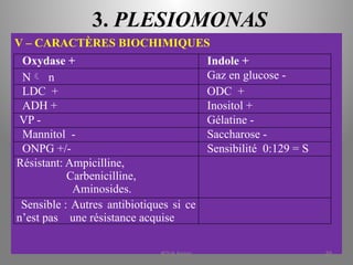3. PLESIOMONAS
V – CARACTÈRES BIOCHIMIQUES
Oxydase + Indole +
N n Gaz en glucose -
LDC + ODC +
ADH + Inositol +
VP - Gélatine -
Mannitol - Saccharose -
ONPG +/- Sensibilité 0:129 = S
Résistant: Ampicilline,
Carbenicilline,
Aminosides.
Sensible : Autres antibiotiques si ce
n’est pas une résistance acquise
KOUA Amian 89
 