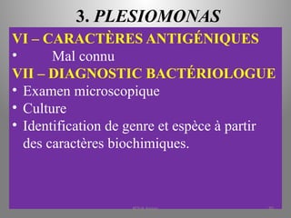 3. PLESIOMONAS
VI – CARACTÈRES ANTIGÉNIQUES
• Mal connu
VII – DIAGNOSTIC BACTÉRIOLOGUE
• Examen microscopique
• Culture
• Identification de genre et espèce à partir
des caractères biochimiques.
KOUA Amian 90
 
