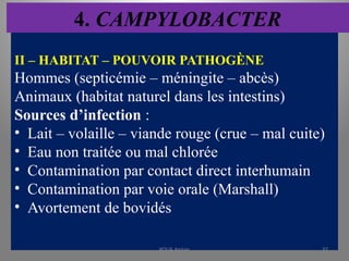 4. CAMPYLOBACTER
II – HABITAT – POUVOIR PATHOGÈNE
Hommes (septicémie – méningite – abcès)
Animaux (habitat naturel dans les intestins)
Sources d’infection :
• Lait – volaille – viande rouge (crue – mal cuite)
• Eau non traitée ou mal chlorée
• Contamination par contact direct interhumain
• Contamination par voie orale (Marshall)
• Avortement de bovidés
KOUA Amian 92
 
