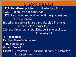 5. BRUCELLA
1929 : Huddleson précise  B. abortus ; B. suis
1933 : (Epreuve d’agglutination)
1978 : Le comité taxonomique confirme que c’est une
nouvelle espèce.
Brucella : maladie animale transmissible à l’homme,
responsable de brucellose.
Zoonose : importante (problème de Santé publique,
Economique)
I – Taxonomie
Famille : Parvobacteriaceae
Tribu : Brucelleae
Genre : Brucella
Espèce : B. melitensis ; B. abortus ; B. suis ; B. neotomae ;
B. ovis ; B. canis. KOUA Amian 97
 
