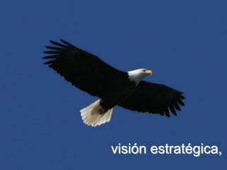 visión estratégica,
                 164
 