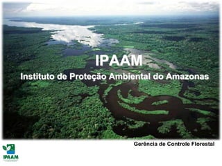 IPAAM
Instituto de Proteção Ambiental do Amazonas
Gerência de Controle Florestal
 