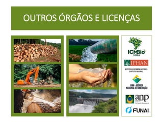 OUTROS ÓRGÃOS E LICENÇAS
 