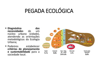 PEGADA ECOLÓGICA
 Diagnóstico das
necessidades de um
núcleo urbano (cidade),
atendendo as orientações
metodológicas da Ecologia
Urbana;
 Podemos estabelecer
critérios de planejamento
e sustentabilidade para a
sociedade local.
 
