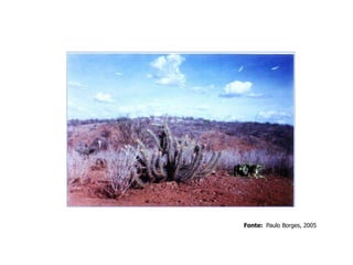 Fonte: Paulo Borges, 2005
 