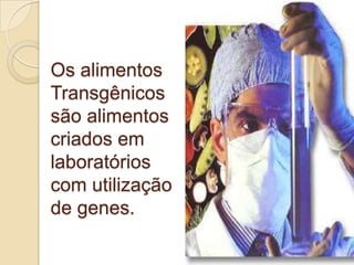 Os alimentos Transgênicos são alimentos criados em laboratórios com utilização de genes. 