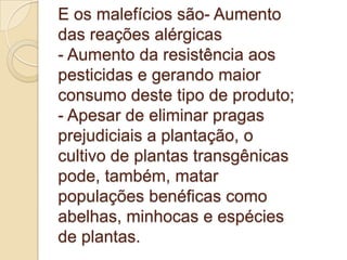 E os malefícios são- Aumento das reações alérgicas- Aumento da resistência aos pesticidas e gerando maior consumo deste tipo de produto;- Apesar de eliminar pragas prejudiciais a plantação, o cultivo de plantas transgênicas pode, também, matar populações benéficas como abelhas, minhocas e espécies de plantas. 