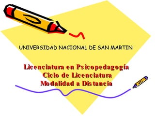 Licenciatura en Psicopedagogía  Ciclo de Licenciatura Modalidad a Distancia UNIVERSIDAD NACIONAL DE SAN MARTIN 