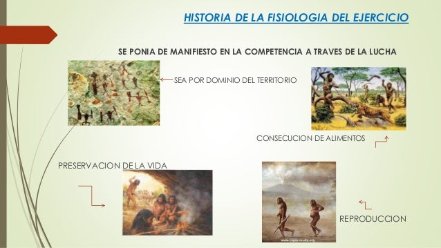 historia de la fisiologia del ejercicio historia de la fisiologia del ejercicio